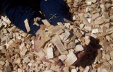 WOODCHIPS BREACKBULK FOR PULP AND PAPERS